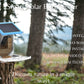 Smart Solar Bird Feeder