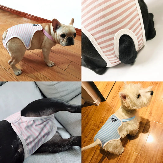 TinkelTrousers -  The Ultimate Protection For Your Four-legged Friend!