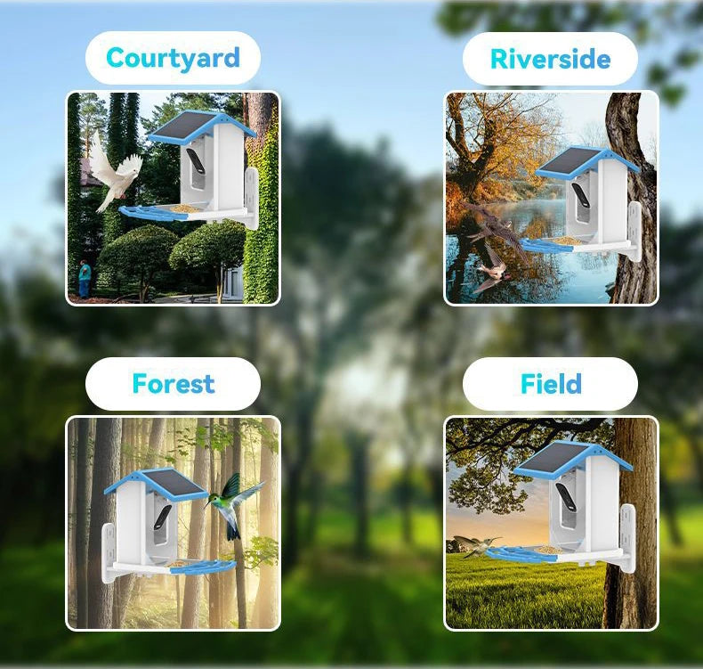 Smart Solar Bird Feeder